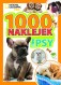 1000 naklejek. Psy. National Geographic Kids