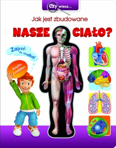 Czy wiesz... Jak jest zbudowane nasze ciało?