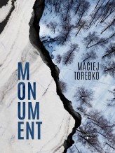 Okładka produktu Maciej Torebko - Momentum
