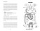 Twoja anatomia. Kompletny (i kompletnie obrzydliwy) przewodnik po ludzkim ciele