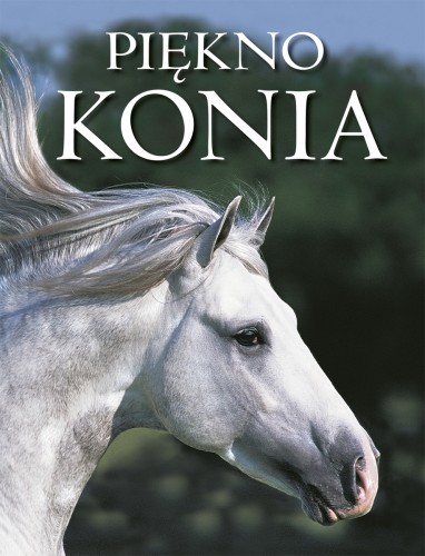 [OUTLET] Piękno konia