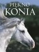 [OUTLET] Piękno konia