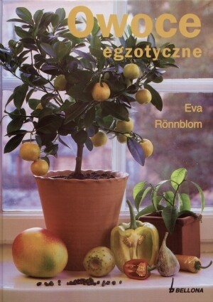 Owoce egzotyczne
