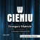 W cieniu. Kulisy wywiadu III RP