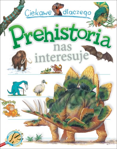 Ciekawe dlaczego Prehistoria nas interesuje