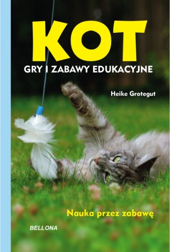 Kot. Gry i zabawy edukacyjne