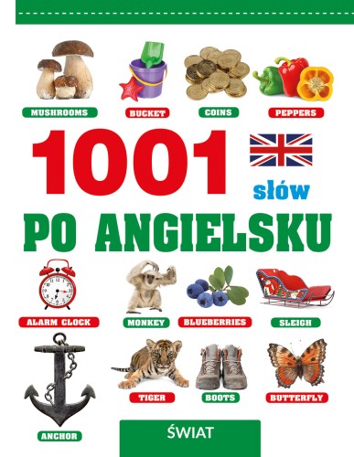 1001 słów po angielsku Świat