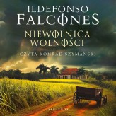 Okładka produktu Ildefonso Falcones - Niewolnica wolności (audiobook)